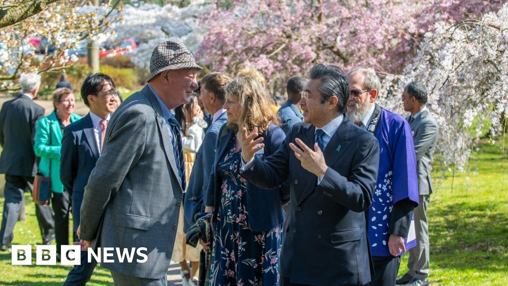 Japanese ambassador honours Keele University cherry blossom trees