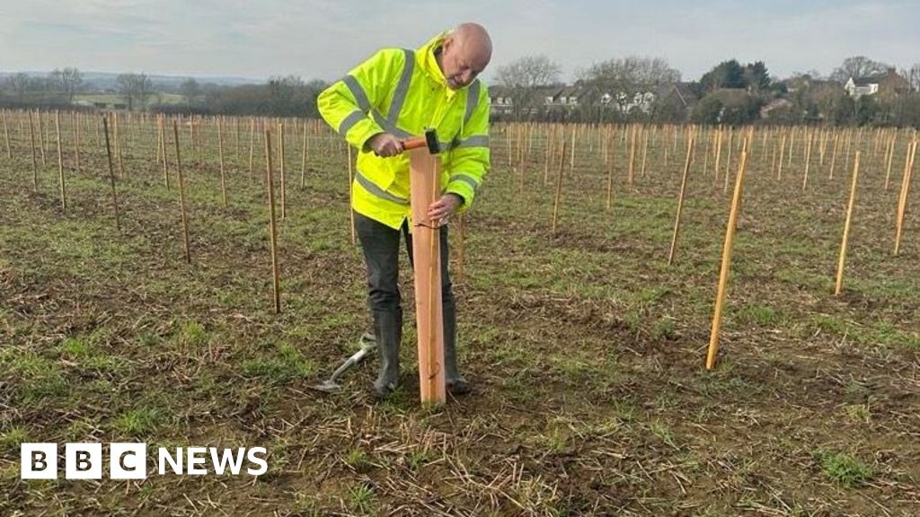 Silsoe woodland with 60,000 trees to aid research and community