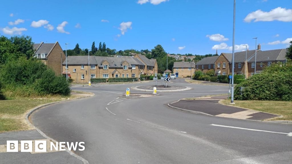 More than 100m of hedgerow in Ilminster may be removed for houses