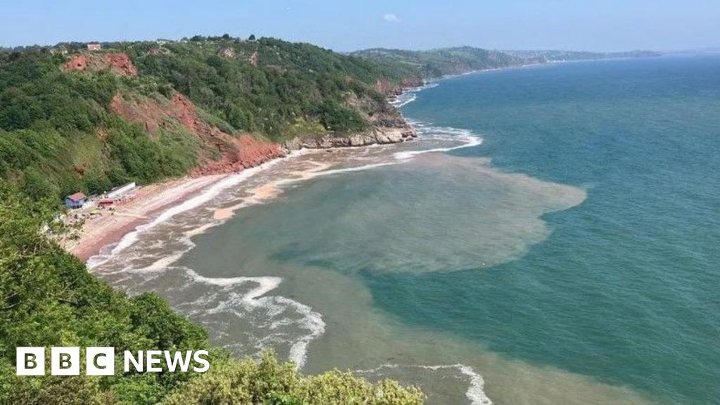 Devon beach awarded Blue Flag status for 38th year in a row