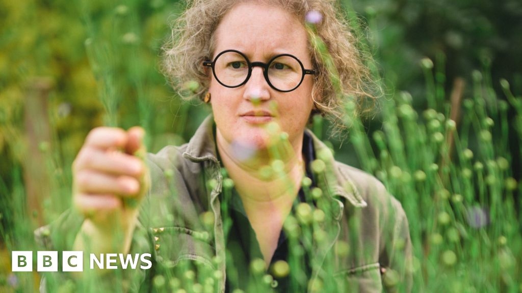 Specially grown flax crop used to create Lizard art exhibition