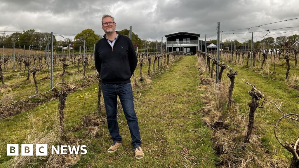 Wine industry calls for Kent Eurostar resumption
