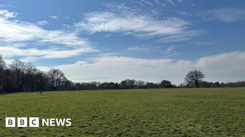 Trees planted to create Covid memorial woodland in Wokingham