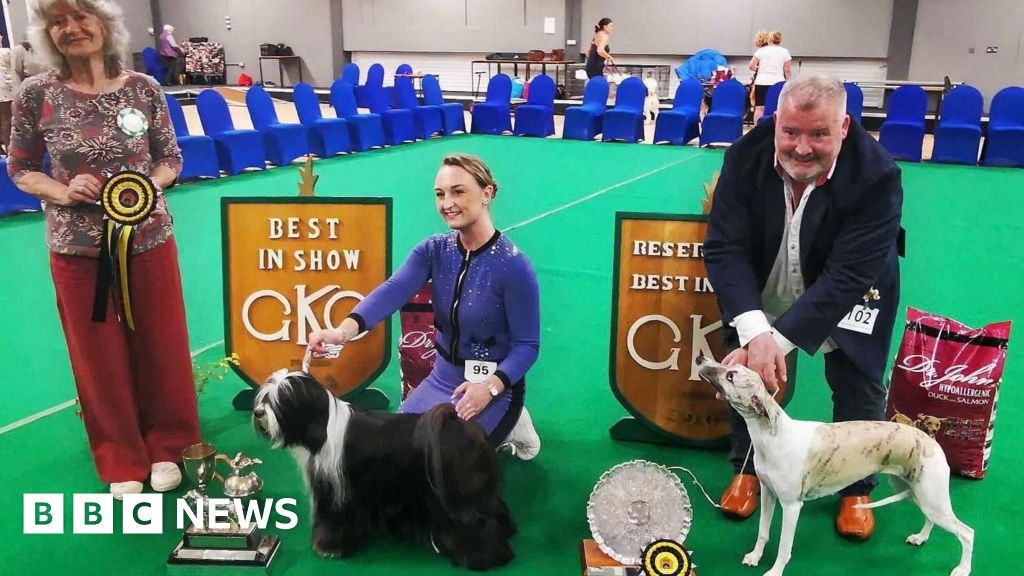 Search is on for top dog in season's first show in Guernsey