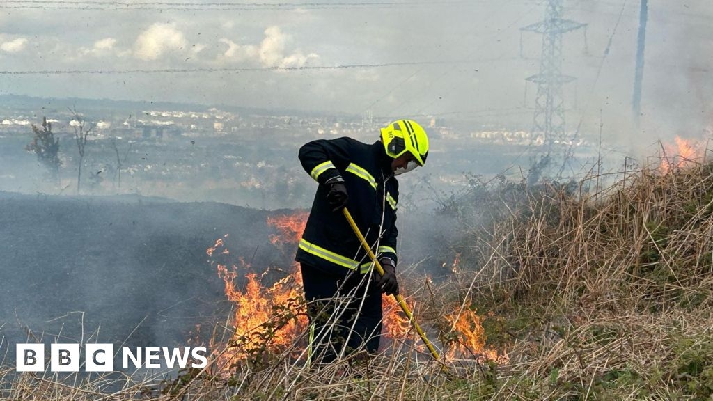 Eston Hills wildfires 'devastating' impact on wildlife
