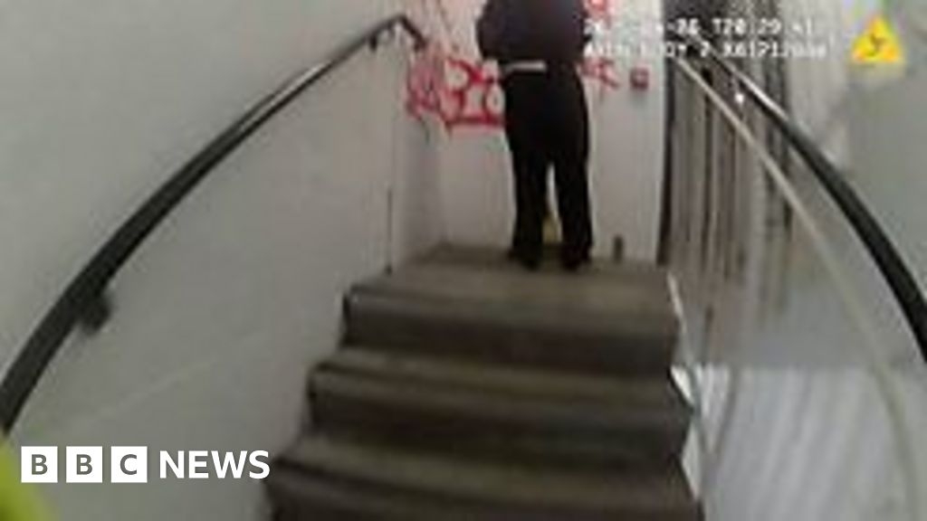 Essex Police bodycam footage shows PC call vandal 'embarrassing'