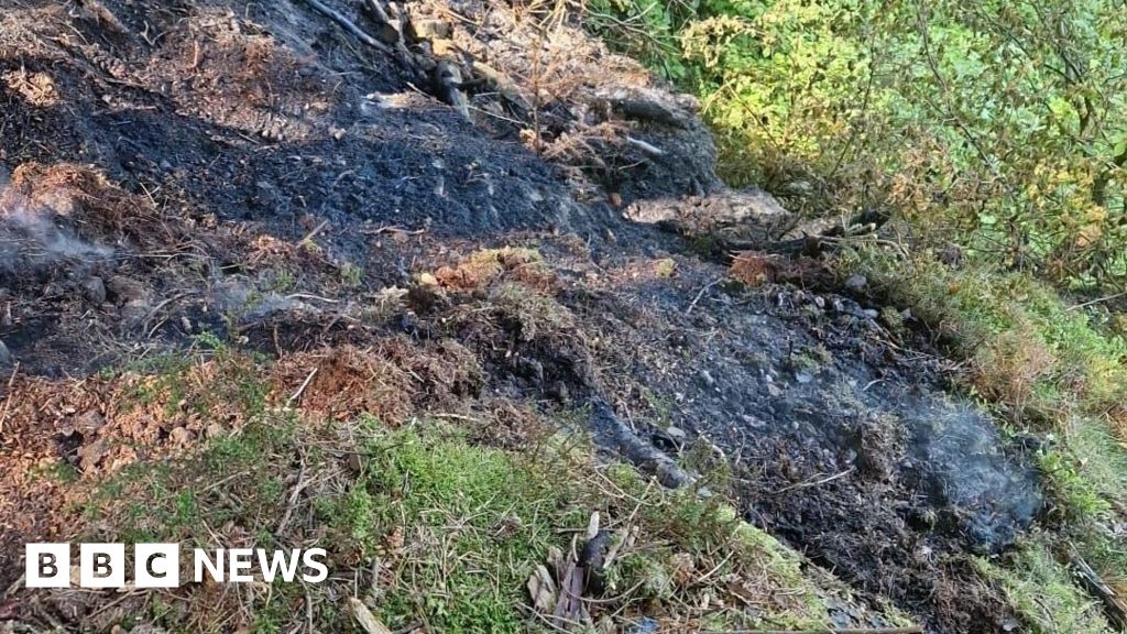 Lancashire wildfire warning over peatland barbecues and campfires