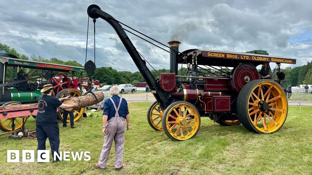 Royal Bath and West Show in pictures: Steam, sheep and strawberries