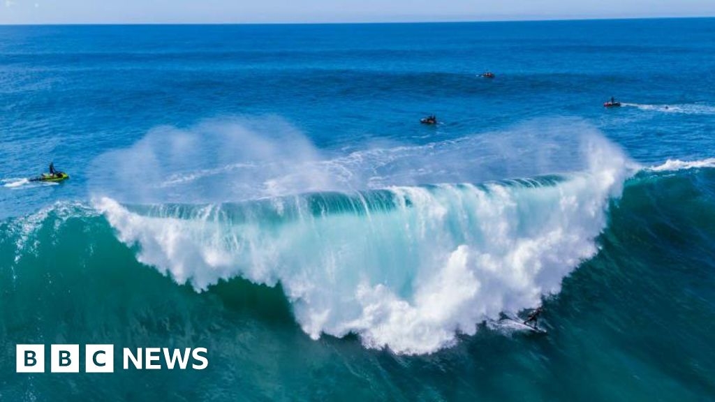 Could taking carbon out of the sea cool down the planet?