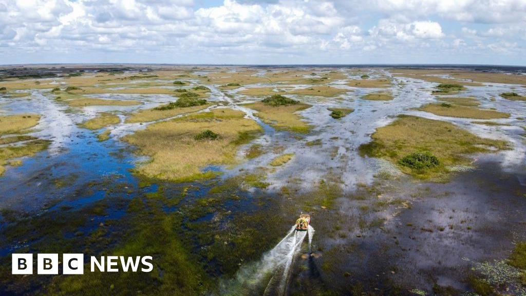 'Alligator Alcatraz': Florida plans migrant detention centre in Everglades