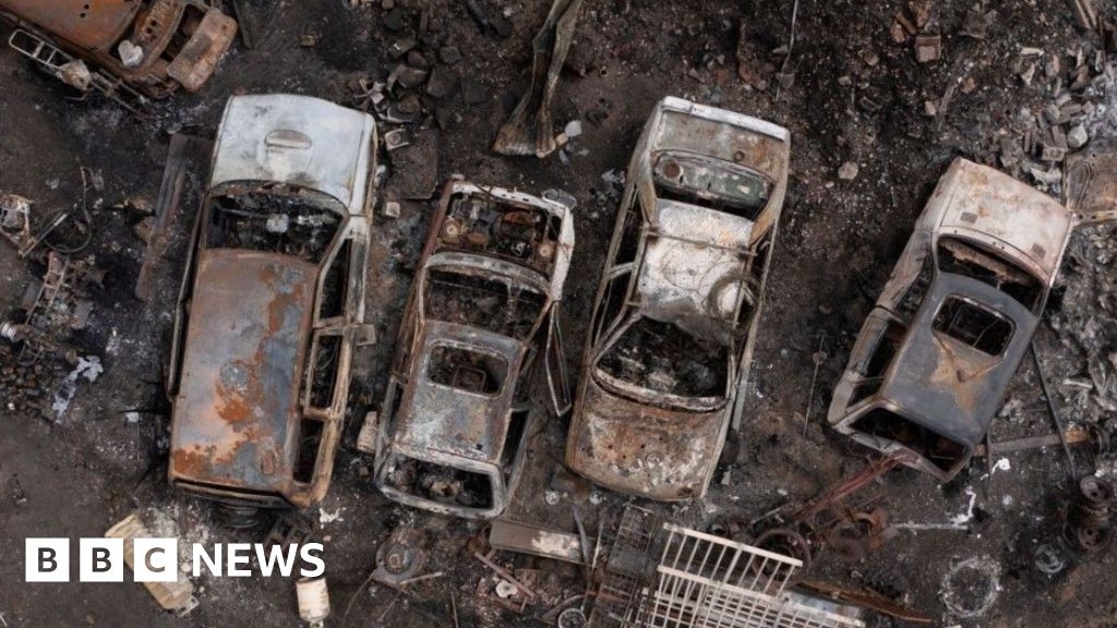 Wildfire prevention urged by London Fire Brigade after dry spring