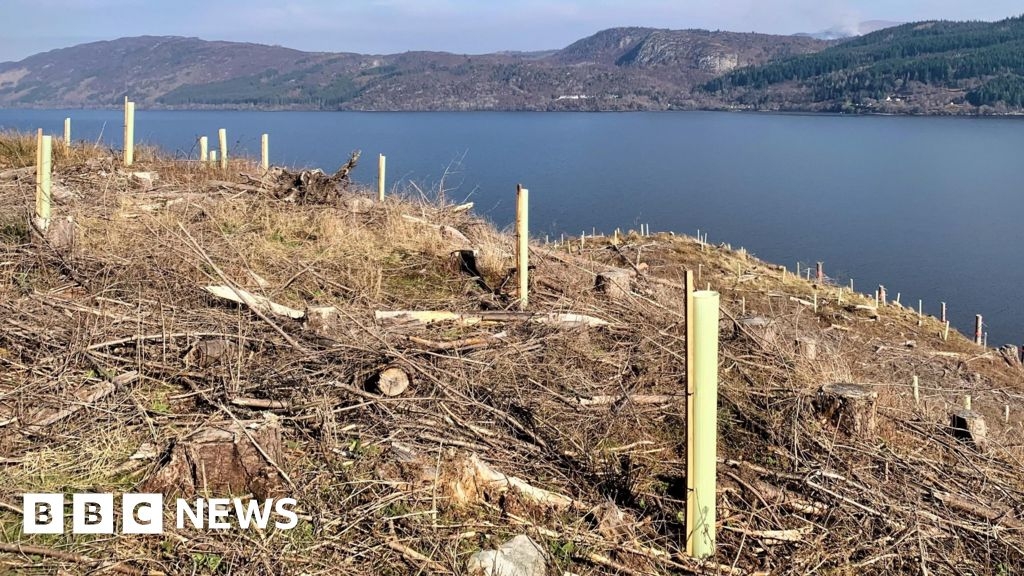 A82 landslip risk to be lowered through native tree planting