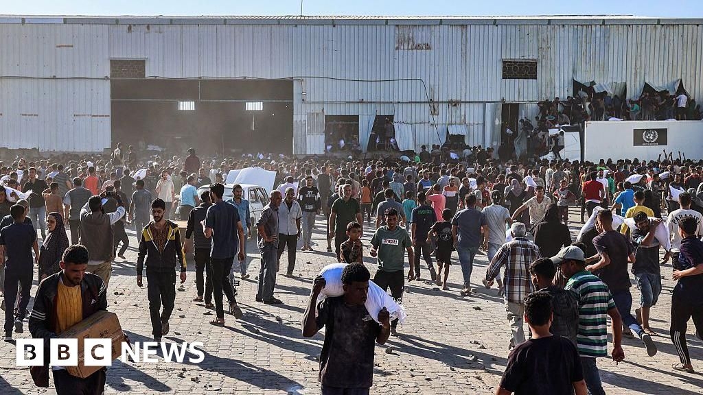 Gaza warehouse broken into by 'hordes of hungry people' says WFP