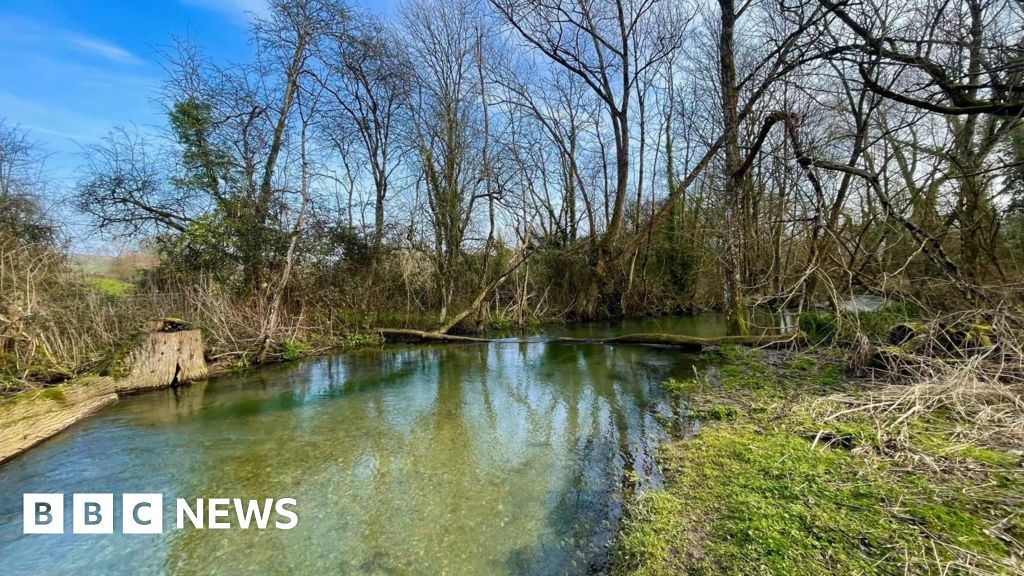 Chalk stream conservation hailed a success