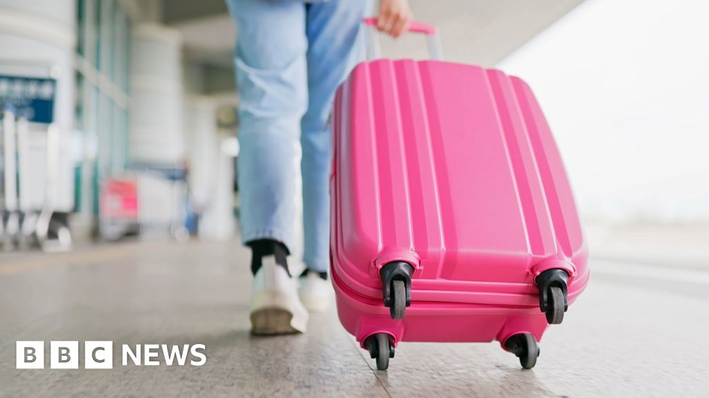 How budget airline baggage confusion triggered EU legal row