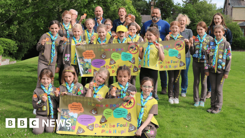 Wetheral Brownies gain badge for tackling dog fouling