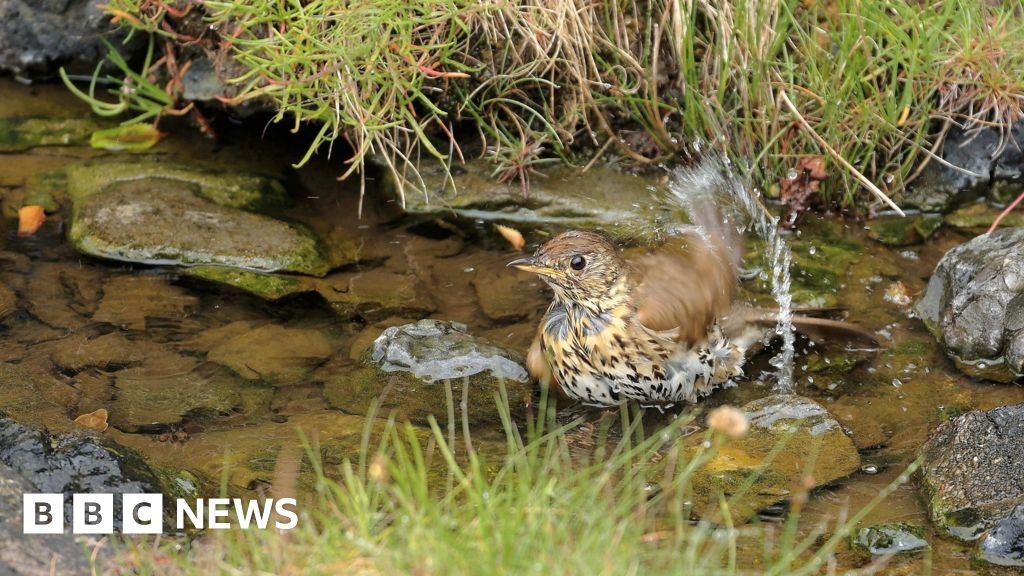 Yorkshire residents urged to save water to help wildlife during dry weather