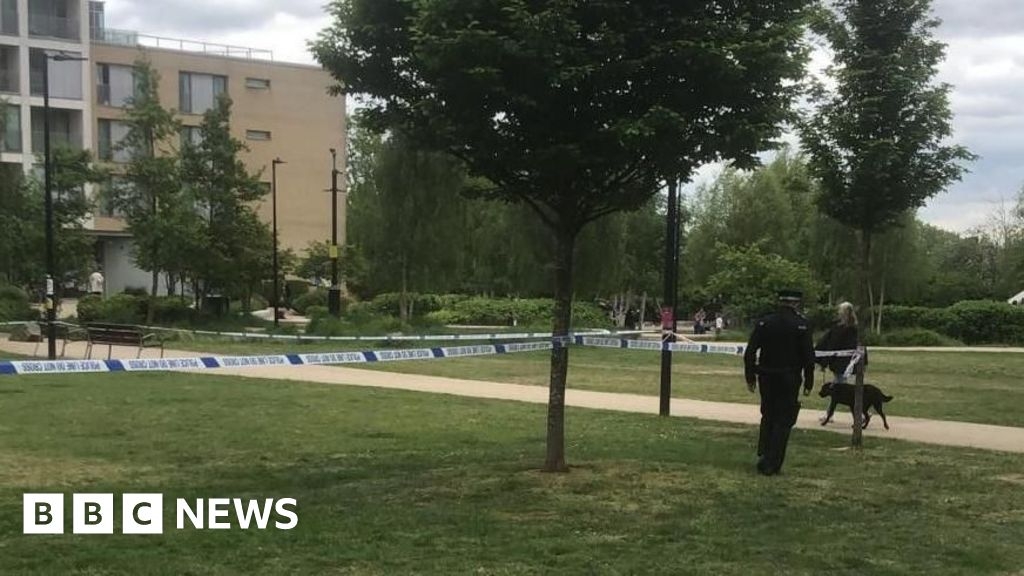 Manor House: Man, 87, died after attack over groceries