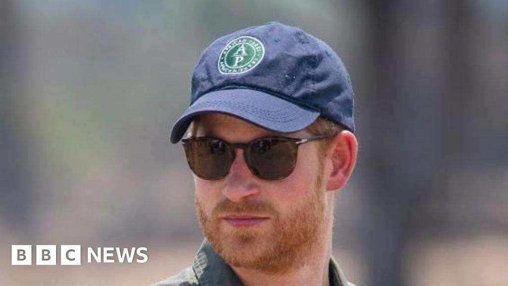 African Parks: Charity linked to Prince Harry admits human rights abuses in Congo-Brazzaville