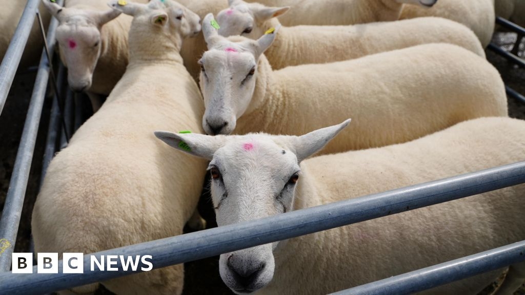 Farmers in Cirencester encouraged to get health checkup at market