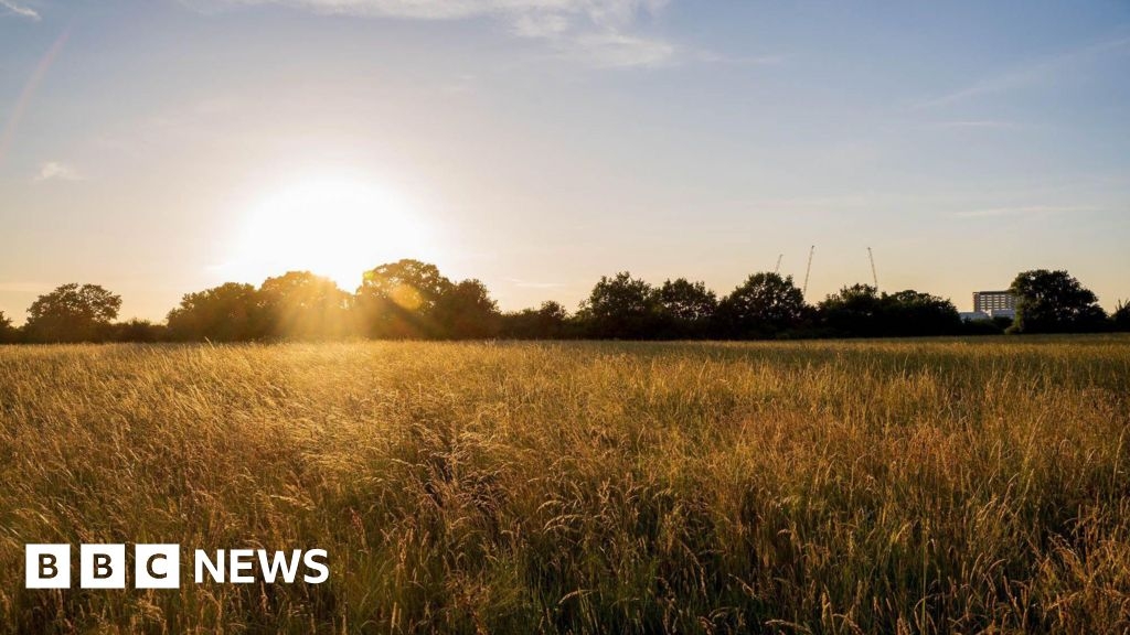 Tolworth Court Farm Fields: Restoration for Kingston's wetlands