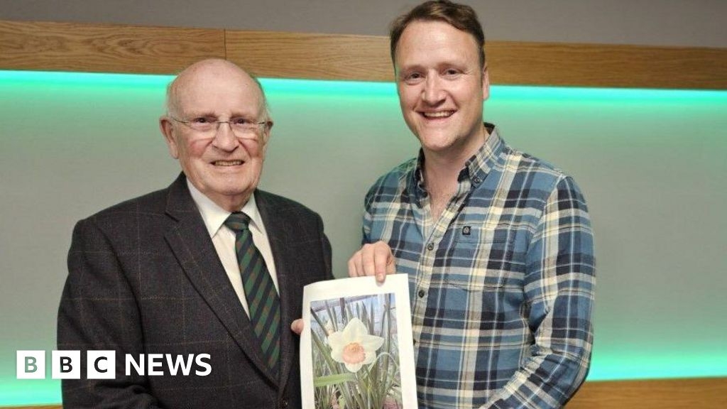 Daffodils: New variety named after BBC Radio programme