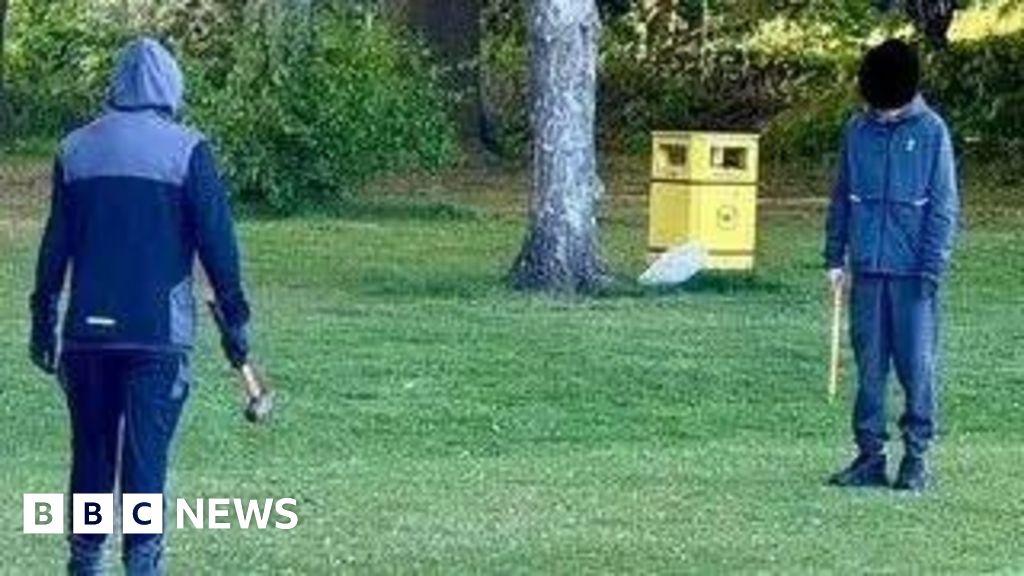 Maghull cricket club to put up fence after young people fight on pitch