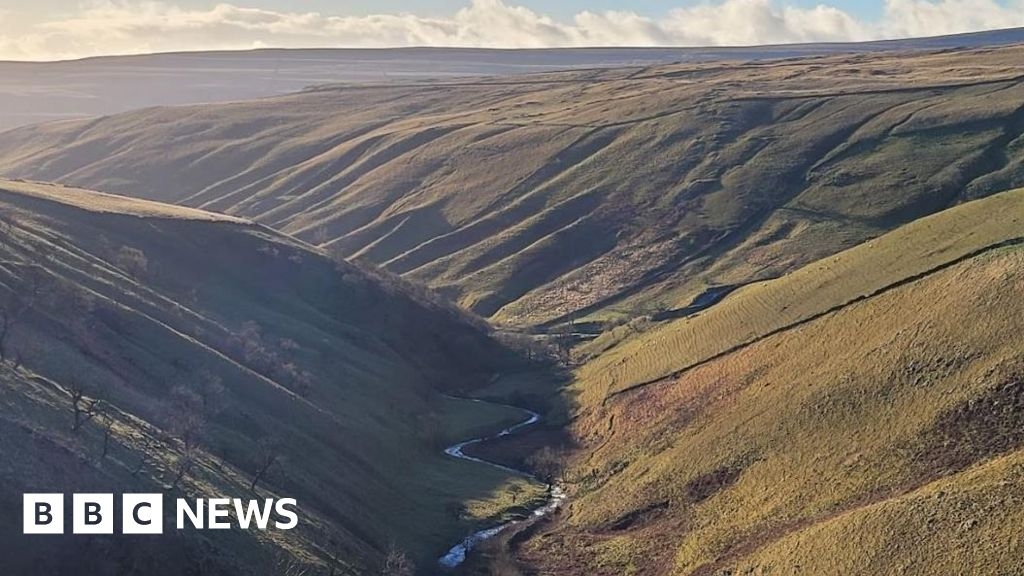 New nature reserve to return rainforests to Yorkshire Dales