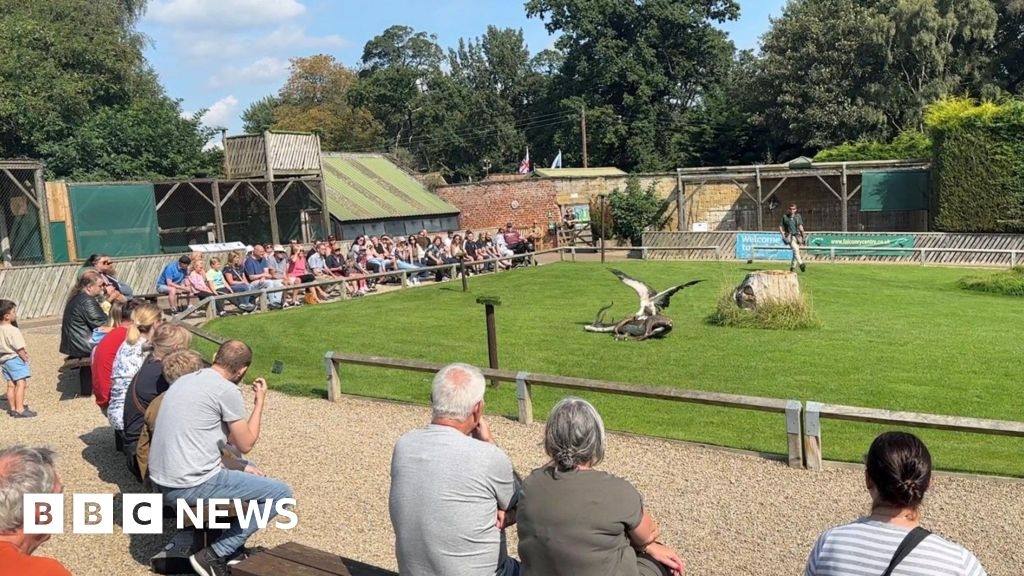 Thirsk Bird of Prey Centre owner's fears over electricity work
