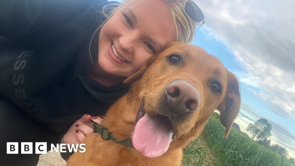 Second dog survives 50ft fall from Kiplingcotes railway bridge
