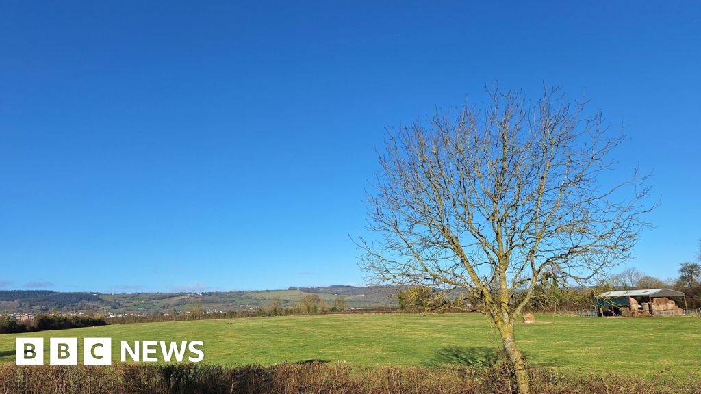 Gloucestershire in Pictures: Spring sunshine and stadium renaming