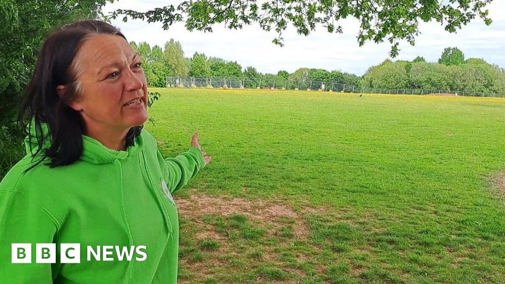 Herefordshire councillors approve pitch floodlights