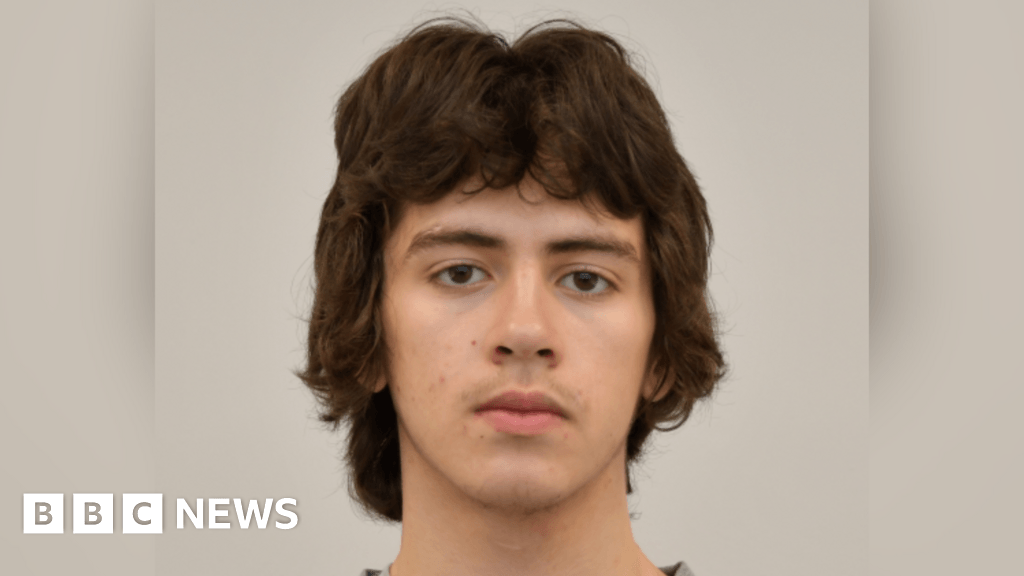 Swanley teenager posted IS videos to TikTok and Telegram