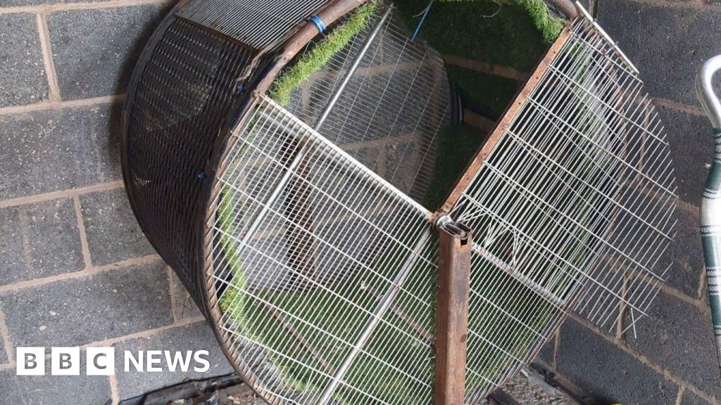 Lincolnshire men sentenced after 'cockerels trained on treadmill'