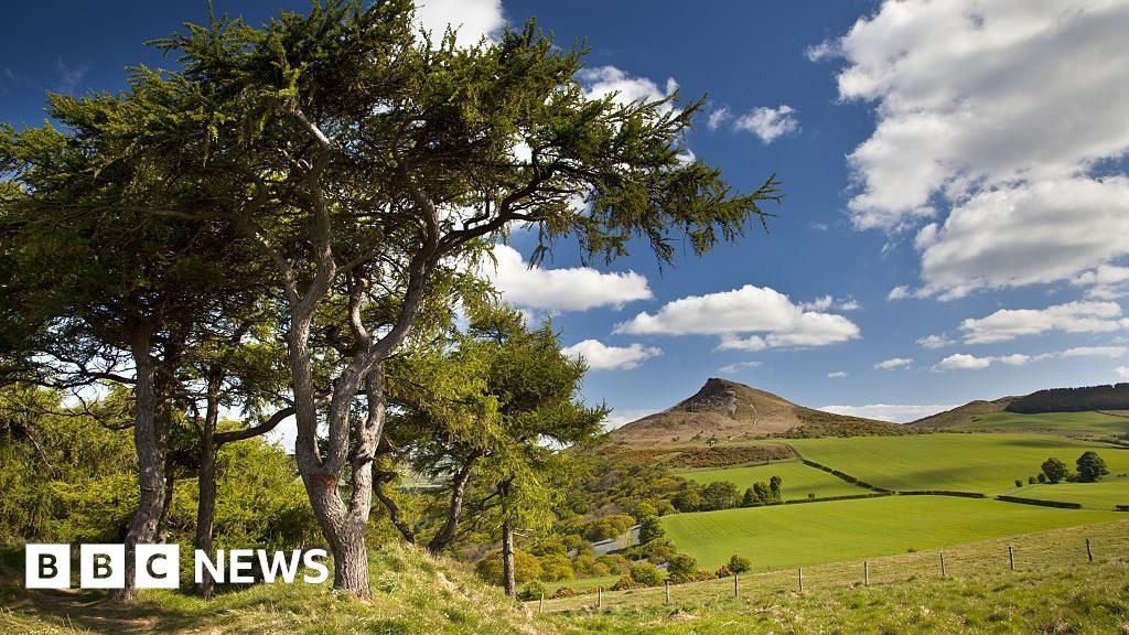 North East green corridors 'will connect people with nature'