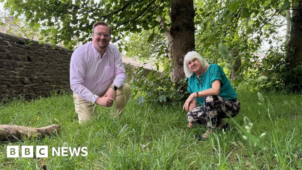 Council to extend 'no mow' regime to more High Peak areas