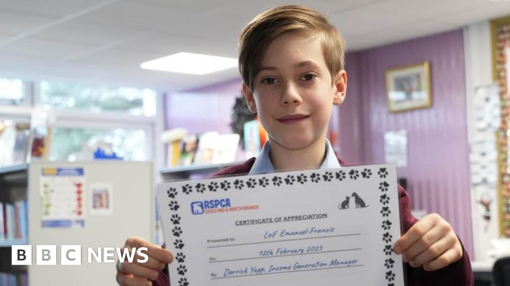 Billericay boy's robin Christmas card wins him RSPCA award