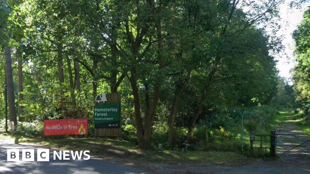 Hamsterley Forest holiday park plans spark hundreds of objections