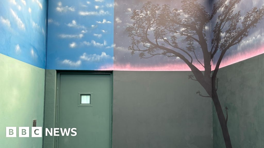 Police unveil calming mural to support neurodiverse detainees