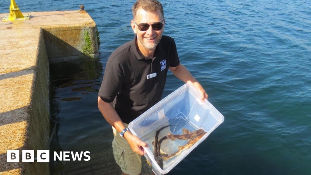 Leader 'instrumental' in growth of Manx Wildlife Trust