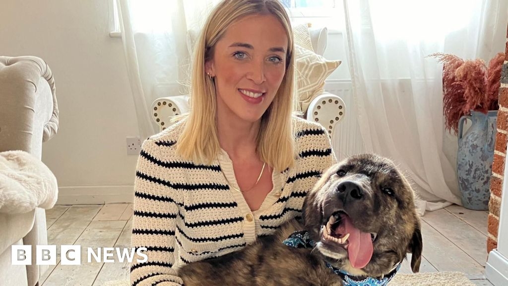 'Terrified' dog rescued in Thaxted needs £10k leg surgery