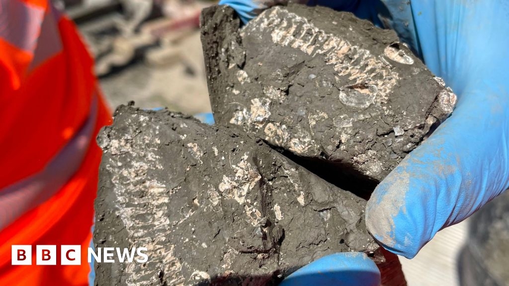 Jurassic finds during East West Rail work in Cambridgeshire