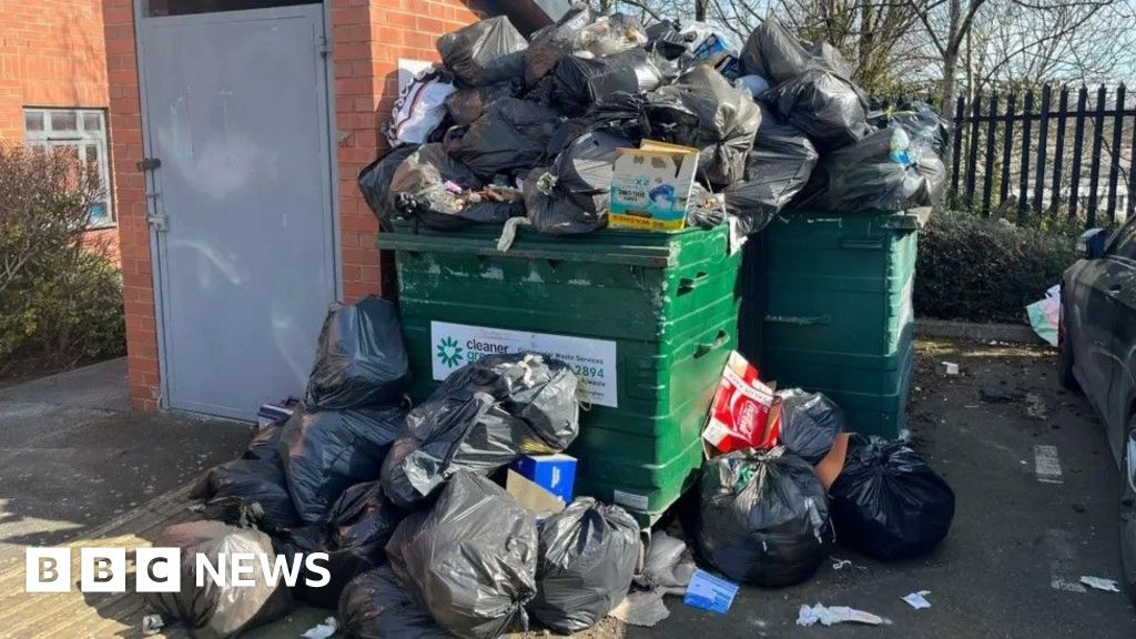 Calls to halt fortnightly Birmingham bin collections as strike goes on