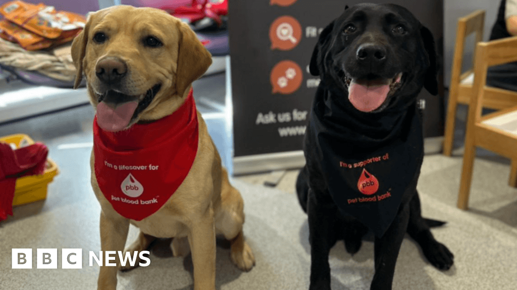 Call for more dog blood donors amid growing demand