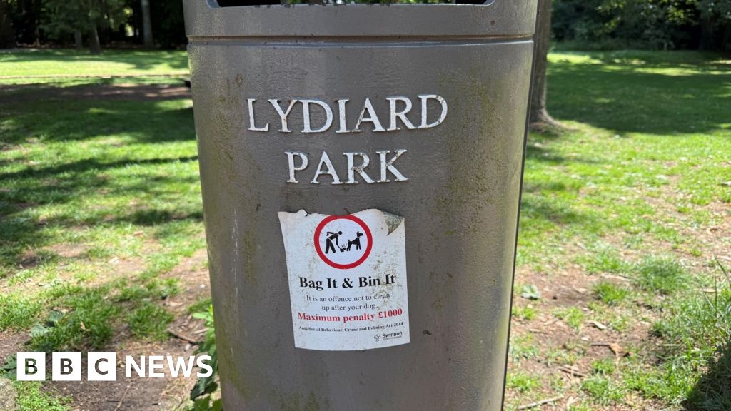 Council looks to extend dog fouling order
