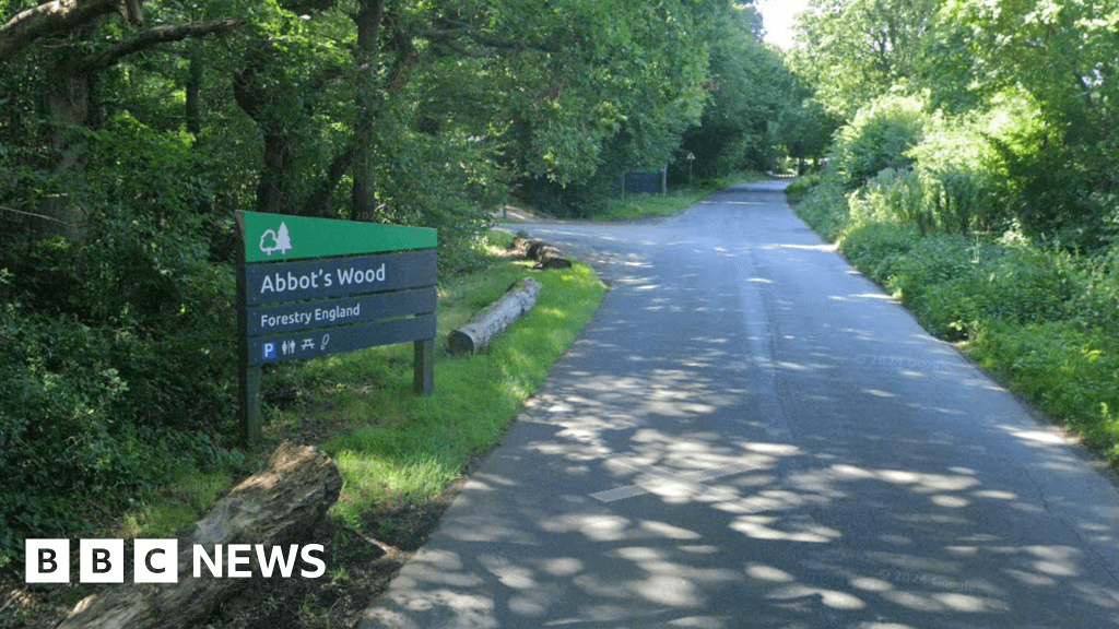 Appeal after boy, 10, attacked by two dogs in Abbot's Wood
