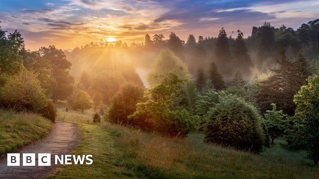 Kent: Bedgebury Pinetum celebrates 100 years with forest trail