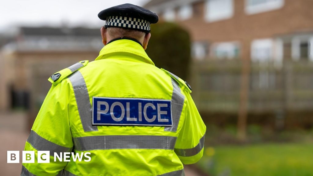'XL bully type' breed involved in dog attack in Portsmouth park