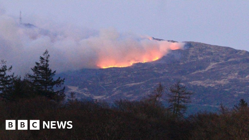 Forest blaze 'under control' as Scottish wildfires continue