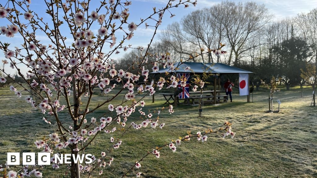 Japanese-themed celebration at Coton Orchard